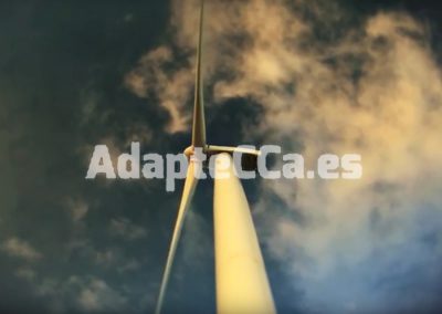adaptecca