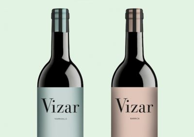 vizar